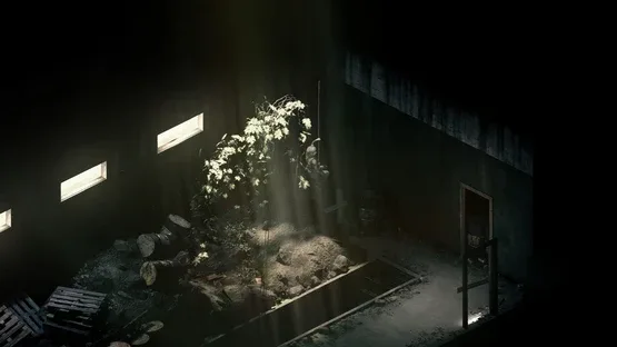 Rauniot screenshot 4