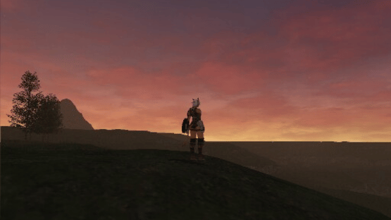 Final Fantasy XI: Vana'diel Collection 2008 Screenshot