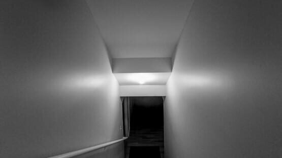 Wardwell House cover