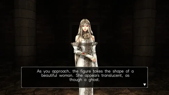 Wizardry: Labyrinth of Lost Souls screenshot 3