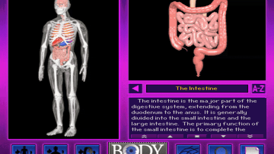 3D Body Adventure Screenshot