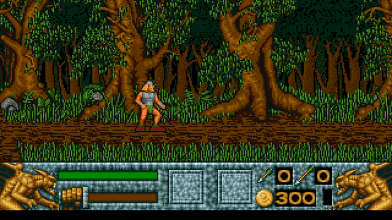 Barbarian II Screenshot