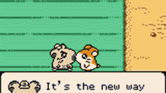 Hamtaro: Ham-Hams Unite! Screenshot