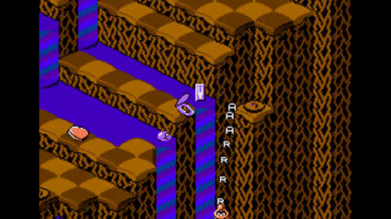 Snake Rattle 'n' Roll Screenshot