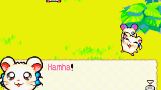 Hamtaro: Rainbow Rescue Screenshot