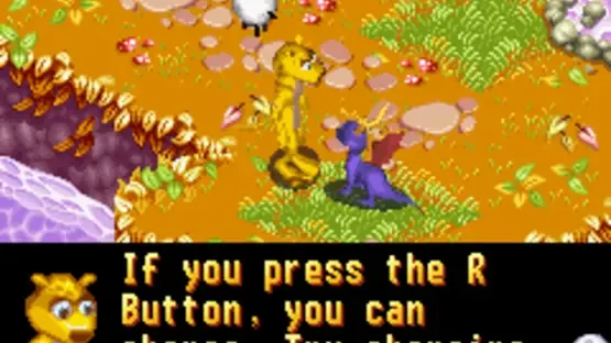 Screenshot 12