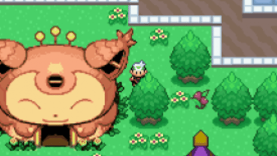 Pokémon Flora Sky Screenshot