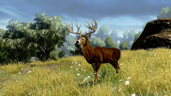 Cabela's Outdoor Adventures Screenshot