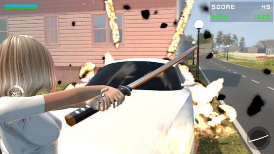 Seraphic Destroyer cover