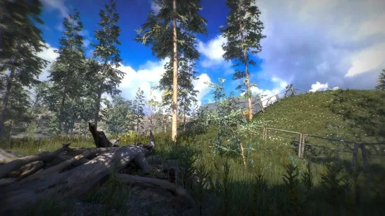 Position screenshot 12