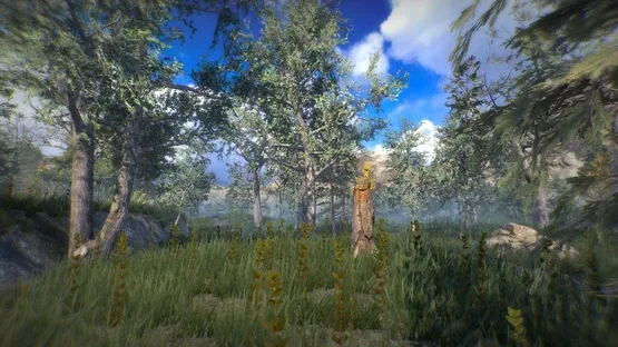 Position screenshot 3
