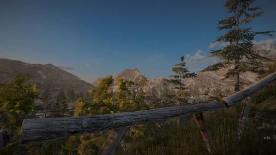Position screenshot 5