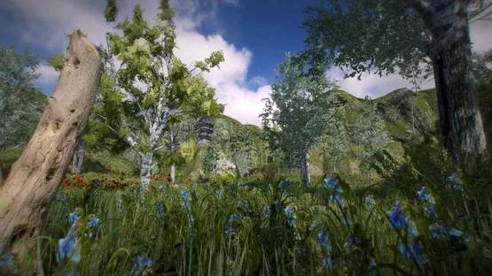 Position screenshot 7