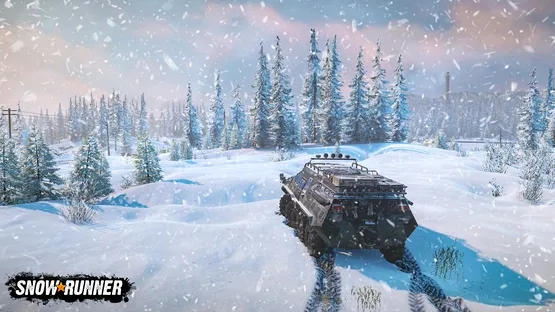 Thumbnail 13
