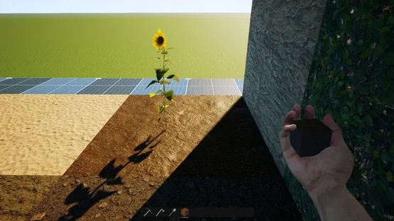 Dreamlive screenshot 1