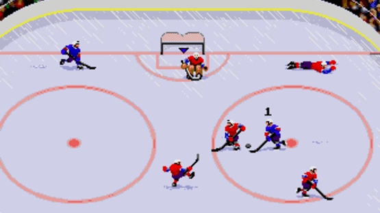 TV Sports Hockey Screenshot