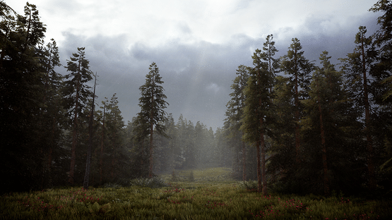 Hunting Simulator 2 Screenshot