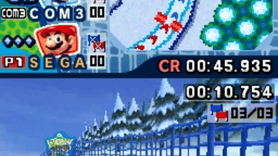 Mario & Sonic at the Olympic Winter Games Screenshot