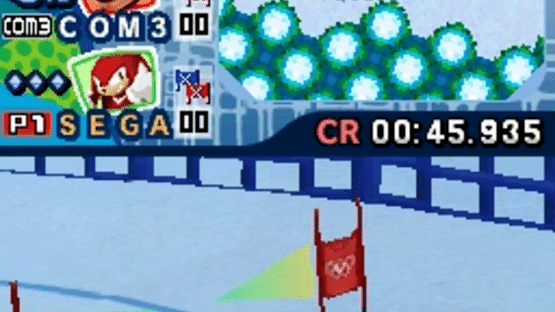 Mario & Sonic at the Olympic Winter Games Screenshot