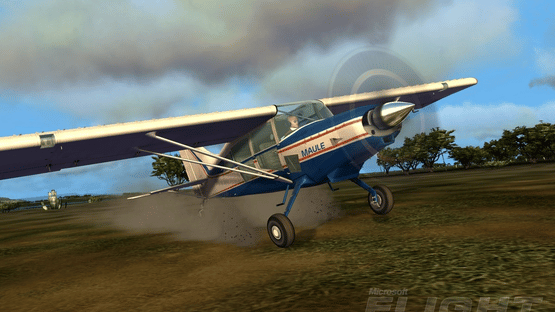 Microsoft Flight Screenshot