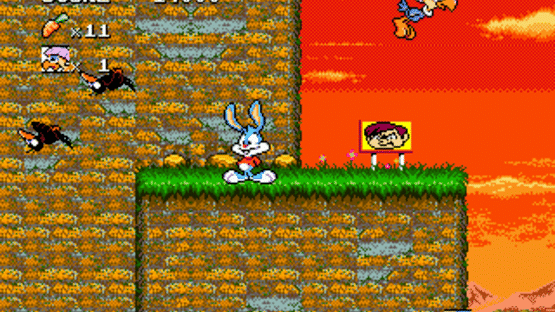 Tiny Toon Adventures: Buster's Hidden Treasure Screenshot