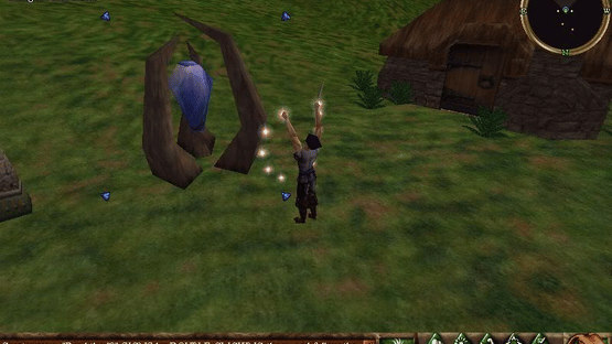 Asheron's Call Screenshot