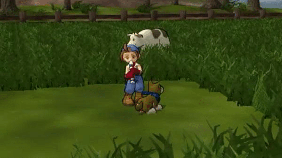 Harvest Moon: Save the Homeland Screenshot