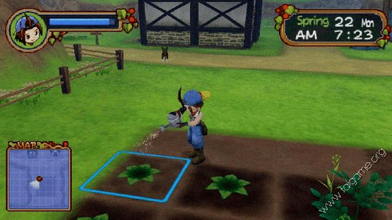 Harvest Moon: Save the Homeland Screenshot