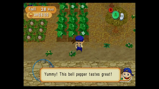 Harvest Moon: Magical Melody Screenshot