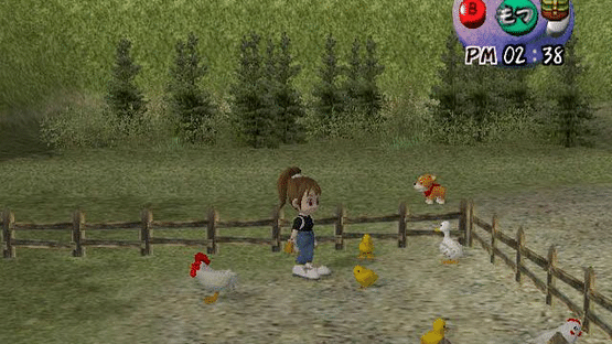 Harvest Moon: Another Wonderful Life Screenshot