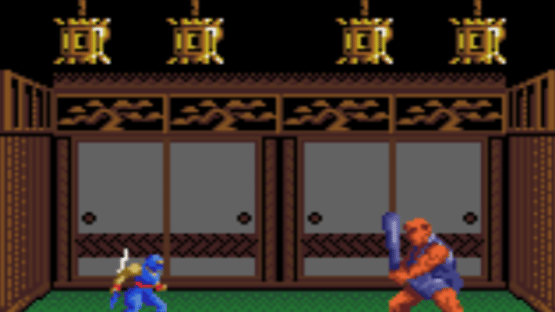 Ninja Gaiden Screenshot