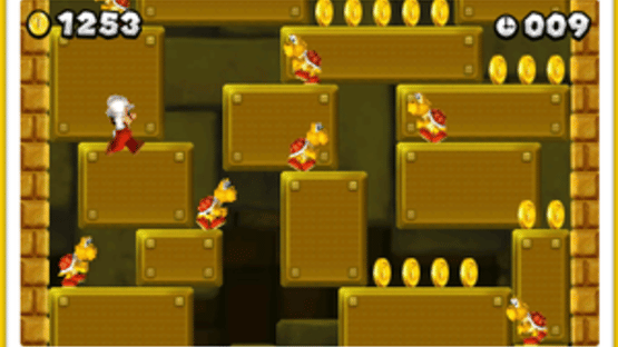 New Super Mario Bros. 2: Coin Challenge Pack C Screenshot