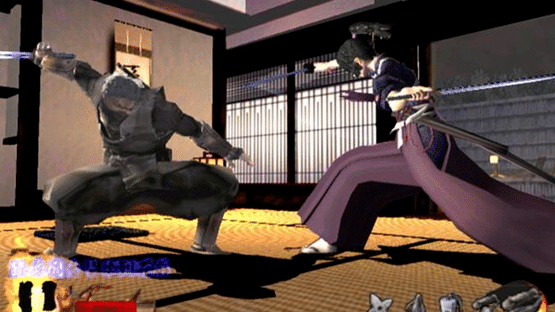 Tenchu: Return From Darkness Screenshot