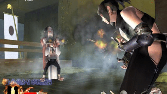 Tenchu: Return From Darkness Screenshot