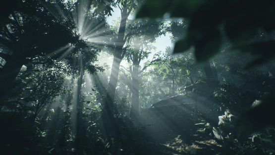 Wakamarina Valley, New Zealand Screenshot