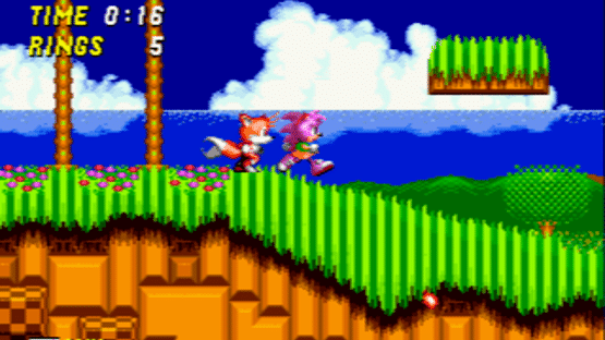 Amy Rose in Sonic the Hedgehog 2 Screenshot