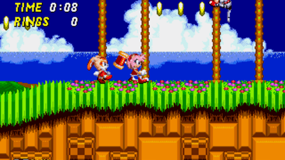 Sonic the Hedgehog 2: Pink Edition Screenshot