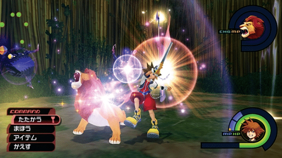 Kingdom Hearts HD 1.5 Remix: Limited Edition Screenshot