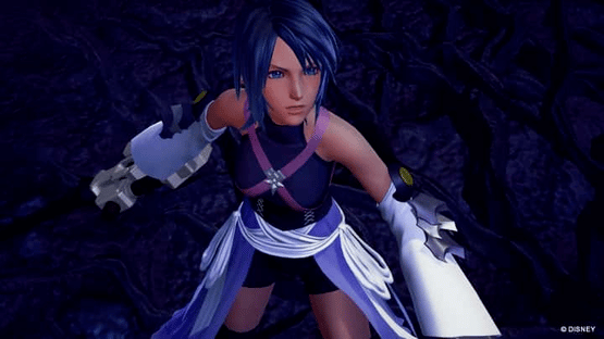 Kingdom Hearts HD 2.8 Final Chapter Prologue: Limited Edition Screenshot