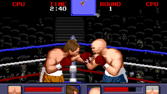 Evander Holyfield's Real Deal Boxing Screenshot