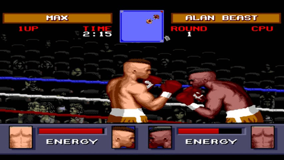 Evander Holyfield's Real Deal Boxing Screenshot