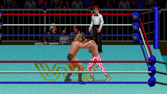 WWF: Super Wrestlemania Screenshot