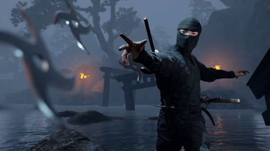 Ninja Simulator Screenshot