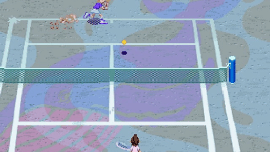 Netto de Tennis Screenshot