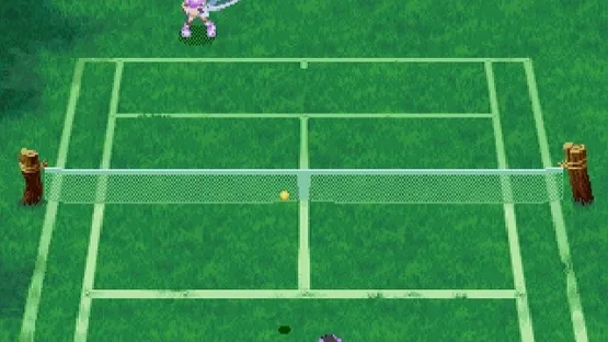Netto de Tennis screenshot 4