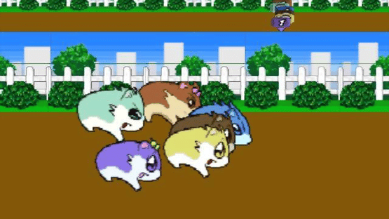 Hamster Monogatari 64 Screenshot