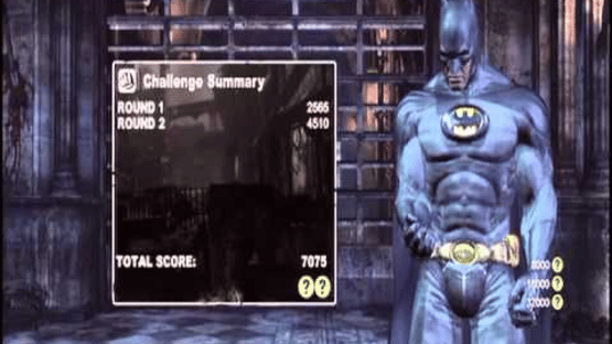 Batman: Arkham City - Batman Inc. Batsuit Skin Screenshot