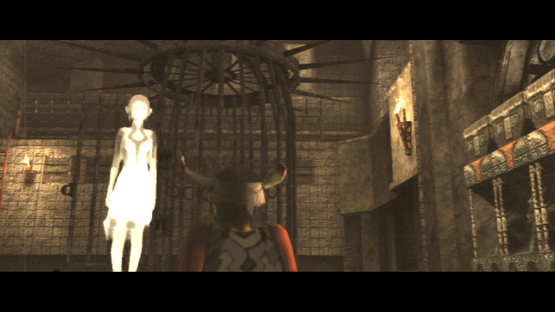 The Ico & Shadow of the Colossus Collection Screenshot