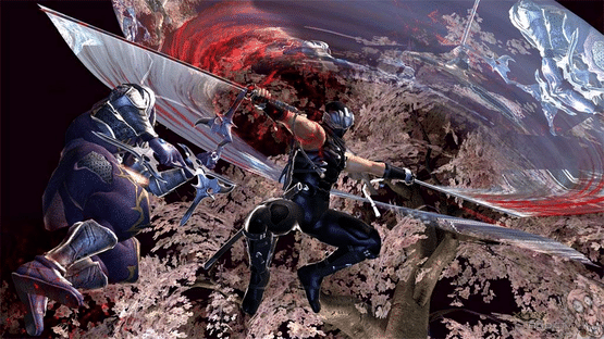 Ninja Gaiden II Screenshot