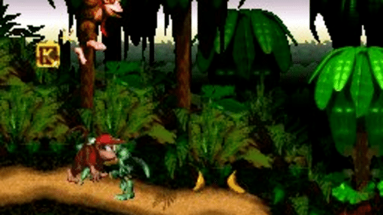 Donkey Kong Country Screenshot